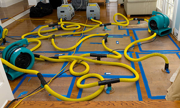 Professional Water Damage Repair technician working in Bay Center, WA